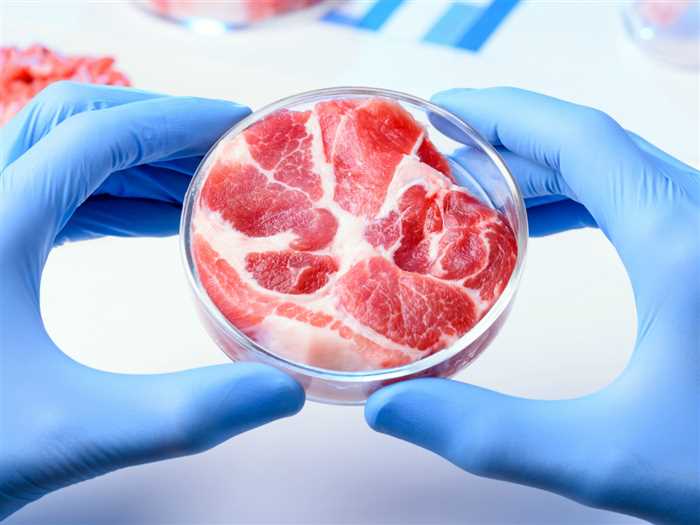 اللحوم المصنعة  وأضرارها على الجسم