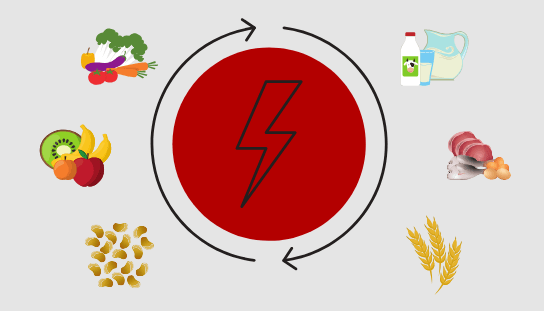 حساب السعرات الحرارية التي يحتاجها الجسم